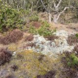 164847125_275870637337954_4479456573169542417_n