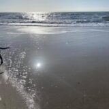 165297925_252179496608278_1631640589421386132_n