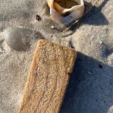 165450340_345448693567865_3255946076080783949_n