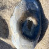 165450347_272837007755865_1500978532036832893_n