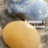 165521765_632886617552170_5258527285367769682_n